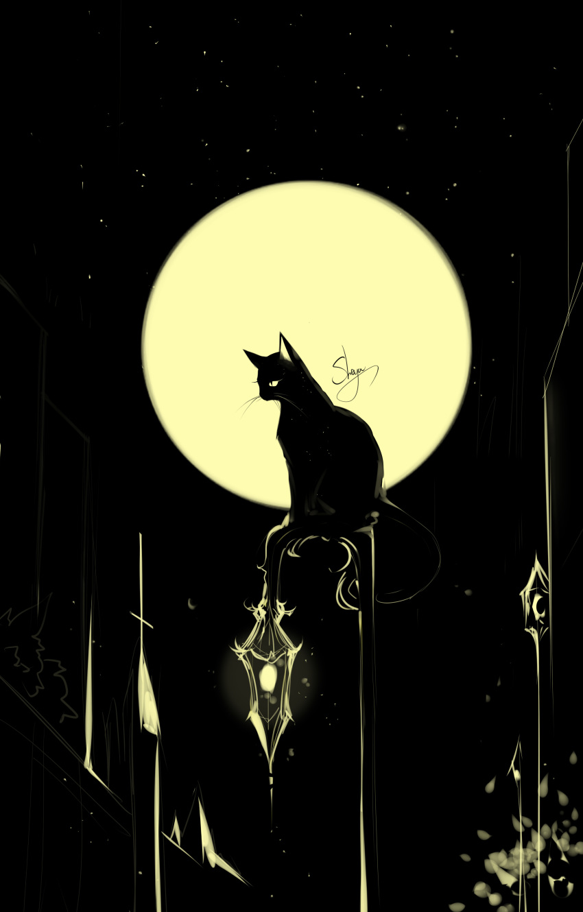 artist_name black_cat cat cat_focus chinese_commentary commentary_request full_moon highres lamppost moon night night_sky no_humans on_top_of_pole original outdoors sheya signature sitting sky star_(sky) starry_sky whiskers