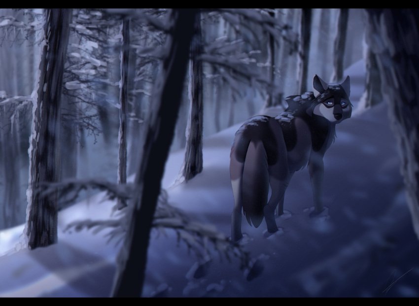 2018 blue_eyes canine contusio digital_media_(artwork) feral forest fur male mammal rakan scar snow tree winter wolf