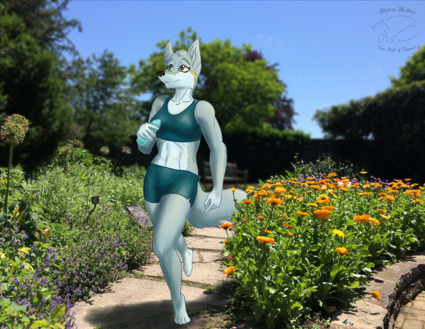 2018 abs anthro barefoot bra breasts canine cheek_tuft clothing digital_media_(artwork) elbow_tufts female flower fur holding_object inner_ear_fluff jogging looking_up mammal markings mei_(tree-san) midriff multicolored_fur navel photo_background plant shorts smile solo sports_bra tuft two_tone_fur underwear water_bottle wolf yellow_eyes zannah