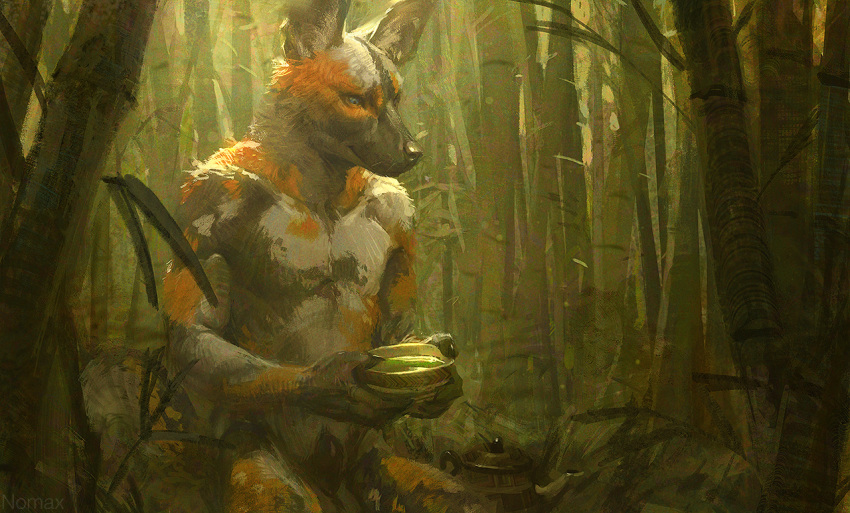 2018 african_wild_dog animal_genitalia anthro balls bamboo beverage black_nose blue_eyes canine claws day detailed_background digital_media_(artwork) digital_painting_(artwork) holding_object kneeling leaf looking_down mammal nomax nude outside sheath solo tea teapot whiskers