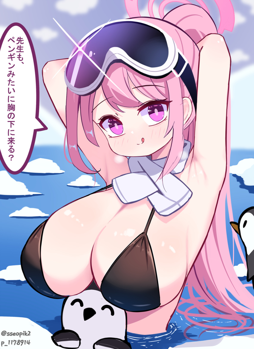 1girl :q animal_ears armpits bikini bird black_bikini blue_archive breasts commentary eimi_(blue_archive) eimi_(swimsuit)_(blue_archive) goggles goggles_on_head highres ice large_breasts long_hair looking_at_viewer official_alternate_costume partially_submerged penguin pink_eyes pink_hair ponytail scarf solo speech_bubble sseopik swimsuit tongue tongue_out translation_request twitter_username upper_body water white_scarf