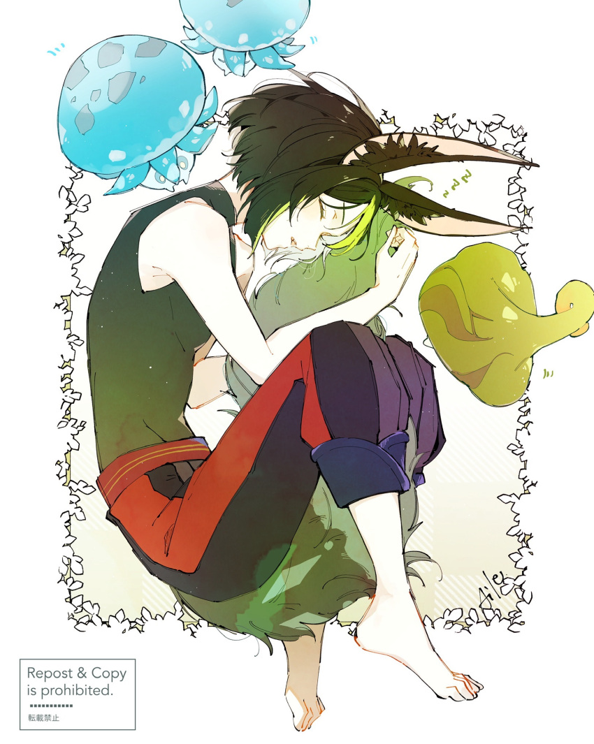 1boy aiwo_o_lite animal_ear_fluff animal_ears bare_shoulders barefoot black_hair black_pants black_shirt blunt_ends blush capri_pants closed_eyes commentary_request eyelashes feet fox_boy fox_ears fox_tail fungi_(genshin_impact) genshin_impact green_hair hair_between_eyes hand_up highres holding_own_tail hugging_own_tail hugging_tail knees_up lying male_focus multicolored_hair notice_lines on_side open_mouth pants purple_pants shirt short_hair simple_background sleeping sleeveless sleeveless_shirt sleeveless_turtleneck solo streaked_hair tail tighnari_(genshin_impact) toes turtleneck watermark white_background zzz