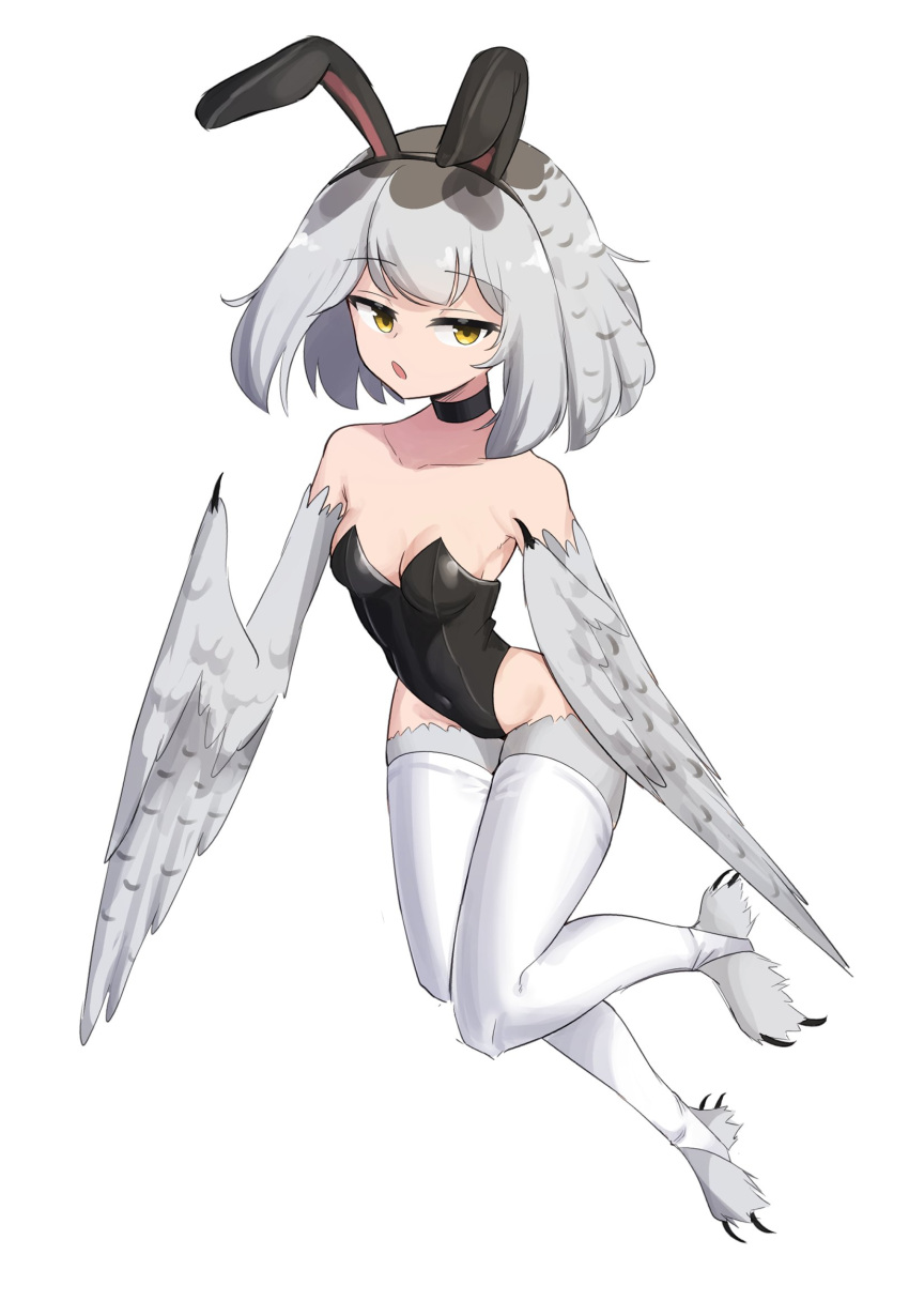 1girl animal_ears bare_shoulders bird_legs black_choker black_leotard blush breasts choker claws fake_animal_ears feathered_wings full_body grey_feathers grey_hair grey_wings harpy highleg highleg_leotard highres leotard looking_at_viewer medium_hair mono_(sifserf) monster_girl open_mouth original owl_girl playboy_bunny rabbit_ears sifserf simple_background small_breasts solo stirrup_legwear talons thighhighs toeless_legwear white_background white_thighhighs winged_arms wings yellow_eyes