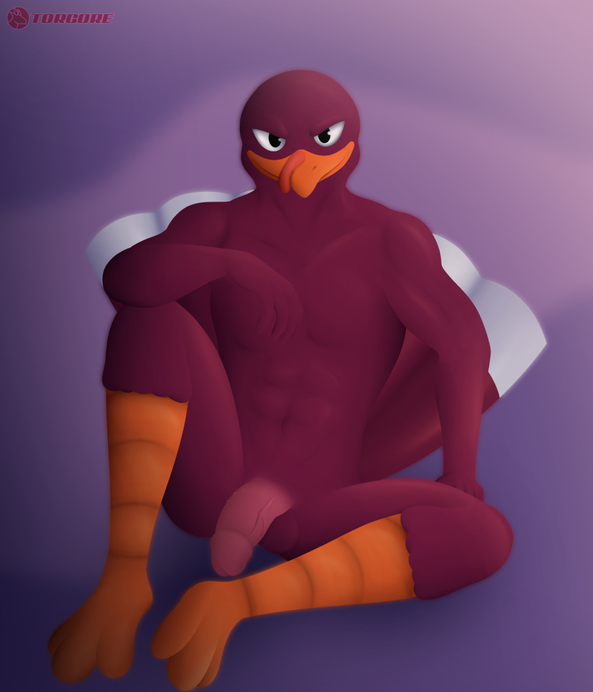 absurd_res anthro avian bird galliform genitals hi_res looking_at_viewer male nude penis phasianid red_body torgore turkey