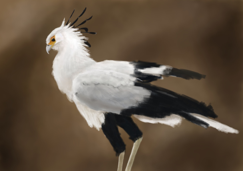 absurd_res accipitriform ambiguous_gender avian bird feral hi_res realistic realistic_feral secretary_bird solo