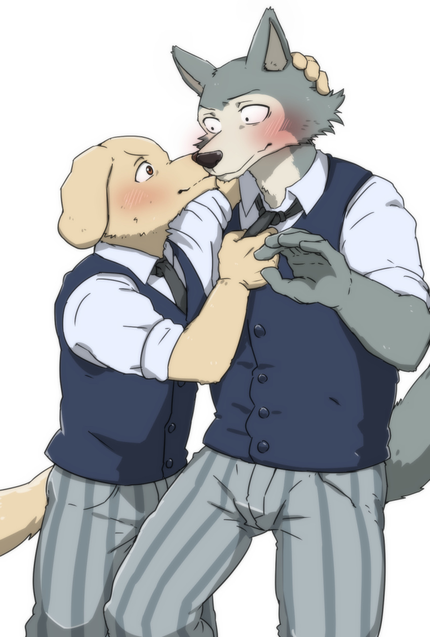 5_fingers anthro beastars bird_dog black_necktie blue_body blue_clothing blue_fur blue_topwear blue_vest blush blush_lines bodily_fluids bottomwear brown_eyes brown_nose canid canine canis cel_shading censor_bar censored clothed clothing digital_media_(artwork) domestic_dog dress_shirt duo eye_contact fingers floppy_ears front_view fur golden_retriever hand_on_head hi_res hunting_dog interspecies jack_(beastars) kemono kiss_on_lips kissing larger_male legoshi_(beastars) looking_at_another looking_at_partner male male/male male_kissing_male mammal matching_clothing necktie necktie_grab pants pattern_bottomwear pattern_clothing pattern_pants raised_arm raised_tail retriever romantic romantic_couple school_uniform shaded shinki_k shirt shy simple_background size_difference standing striped_bottomwear striped_clothing striped_pants stripes tail topwear uniform vest white_background white_clothing white_shirt white_topwear wide_eyed wolf yellow_body yellow_fur