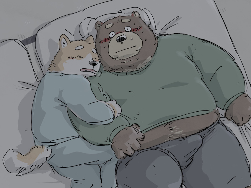 anthro bear bedroom blush bulge canid canine canis clothing domestic_dog duo erection hi_res high-angle_view lying male male/male mammal on_back overweight overweight_male pajamas pommn_mn shiba_inu sleeping spitz tail tenting
