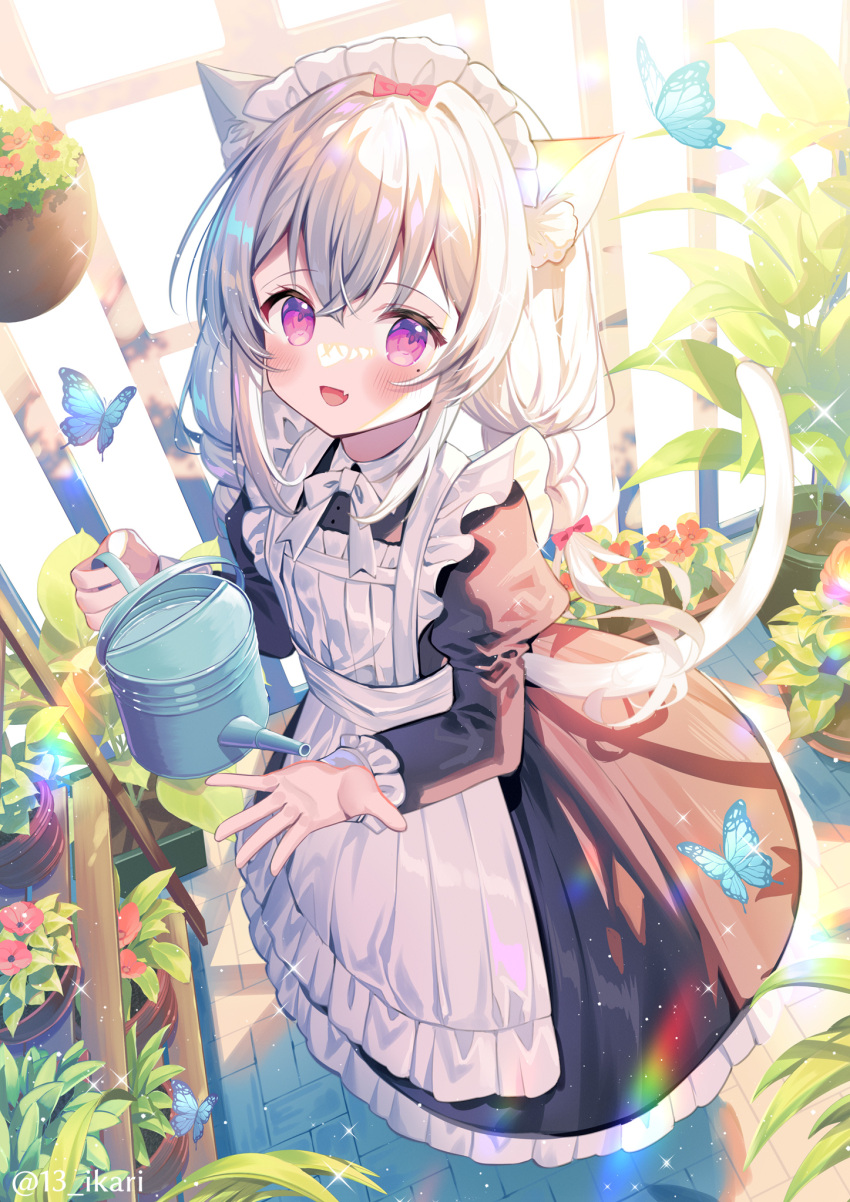 1girl :d animal animal_ears apron black_dress blush bug butterfly cat_ears cat_girl cat_tail commentary_request day dress fang flower flower_pot frilled_apron frilled_dress frills hair_between_eyes highres holding ikari_(aor3507) indoors juliet_sleeves long_hair long_sleeves looking_at_viewer low_twintails maid maid_apron maid_headdress mole mole_under_eye original puffy_sleeves purple_eyes red_flower smile solo standing sunlight tail twintails very_long_hair watering_can white_apron white_hair