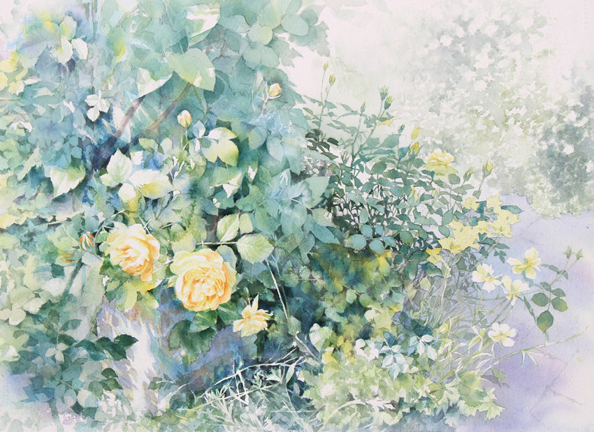 flower grass leaf light original painting_(medium) plant plant_focus rose still_life sunlight traditional_media vines watercolor_(medium) yellow_flower yellow_rose yu_grassbird