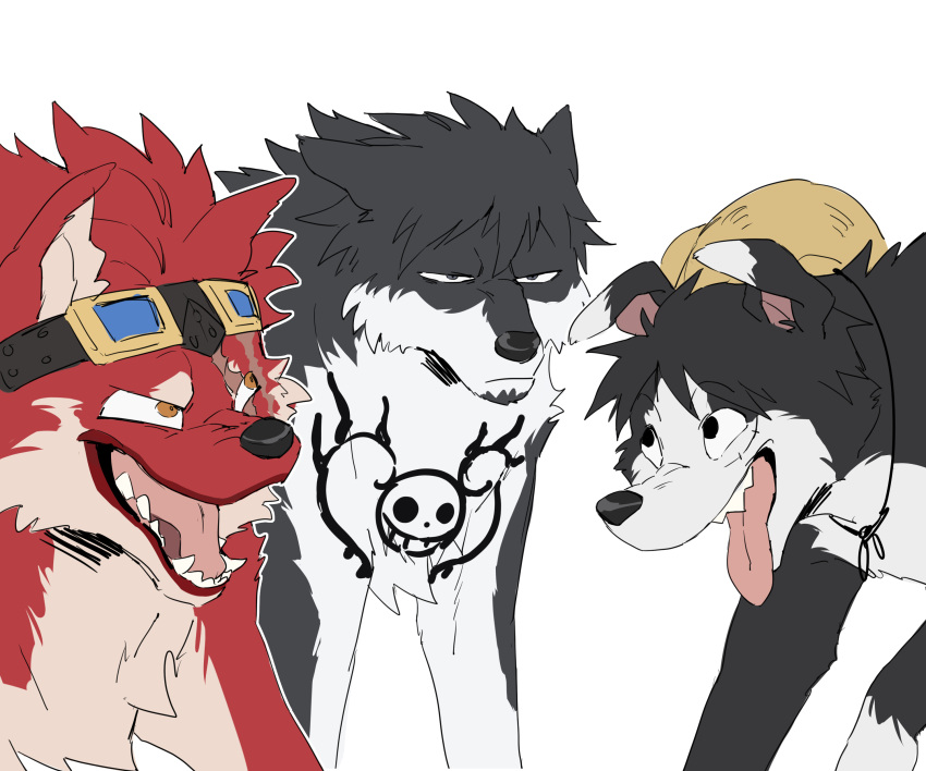 absurdres animal_focus animalization annoyed black_eyes black_fur commentary dog eustass_kid fangs floppy_ears frown goggles hat highres ks_lobos laughing laughing_wolves looking_at_another monkey_d._luffy multiple_dogs one_piece orange_eyes red_fur scar scar_across_eye scar_on_cheek scar_on_face simple_background straw_hat tongue tongue_out trafalgar_law unamused white_background white_footwear