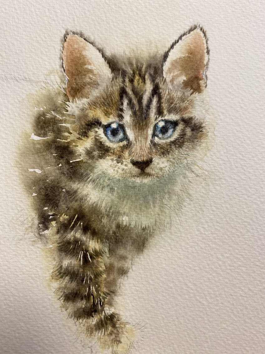 animal blue_eyes cat highres kitten looking_at_viewer no_humans original painting_(medium) realistic still_life traditional_media watercolor_(medium) yu_grassbird