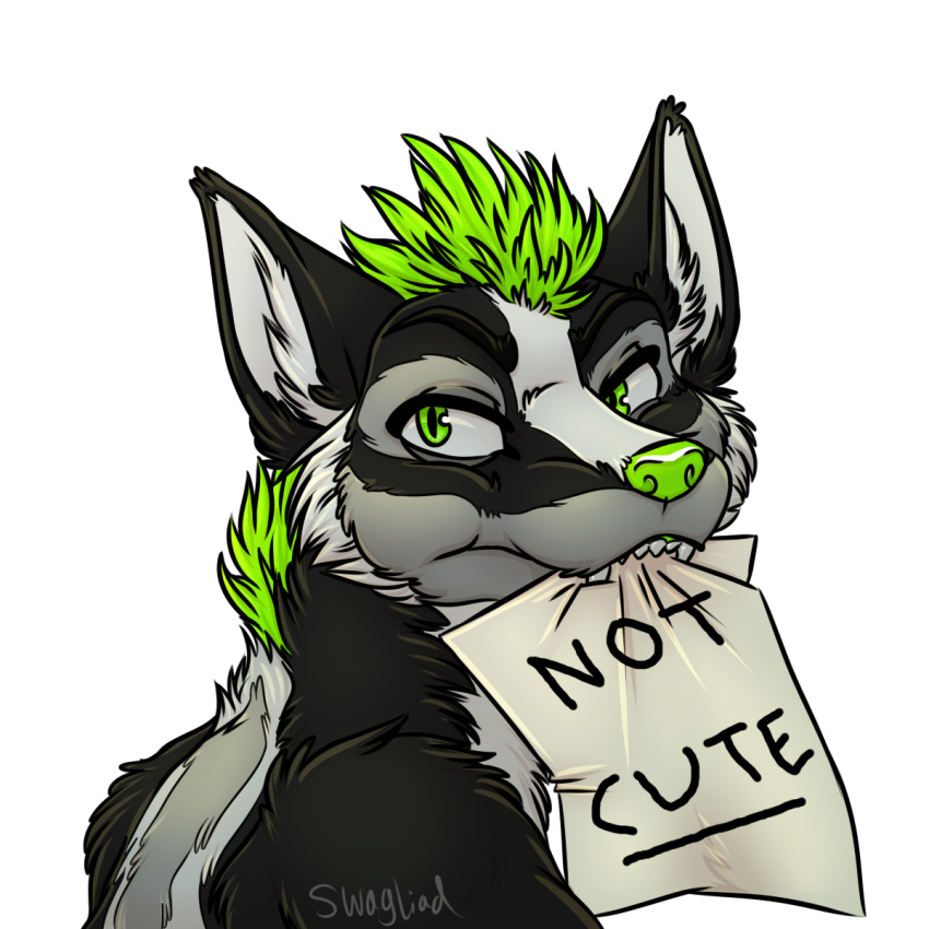 alpha_channel anthro black_fur canine fox fur green_eyes green_hair green_nose grey_fur hair hi_res hybrid looking_at_viewer mammal mephit mephitid mohawk note simple_background skunk stickers swagliad teeth transparent_background ventusthesox white_fur