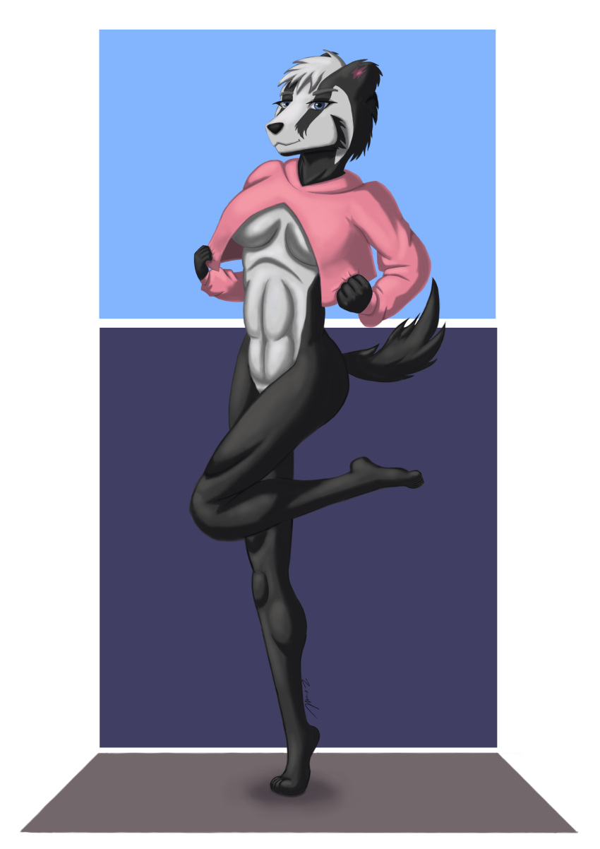 2018 abs absurd_res anthro athletic badger blue_eyes breasts clothing convenient_censorship digital_media_(artwork) female hi_res hoodie looking_at_viewer mammal mustelid simple_background smile solo standing za-owl