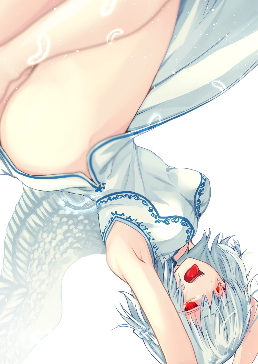 absurdres alternate_costume armpits arms_up ass bangs bare_arms bare_legs bare_shoulders blurry braid breasts china_dress chinese_clothes commentary_request depth_of_field dress feathered_wings feathers feet_out_of_frame french_braid half-closed_eyes highres kishin_sagume large_breasts light_particles looking_at_viewer medium_breasts mimoto_(aszxdfcv) no_panties open_mouth red_eyes short_hair side_slit silver_hair simple_background single_wing sleeveless sleeveless_dress solo thighs tongue tongue_out touhou upside-down white_background white_dress white_hair white_wings wings