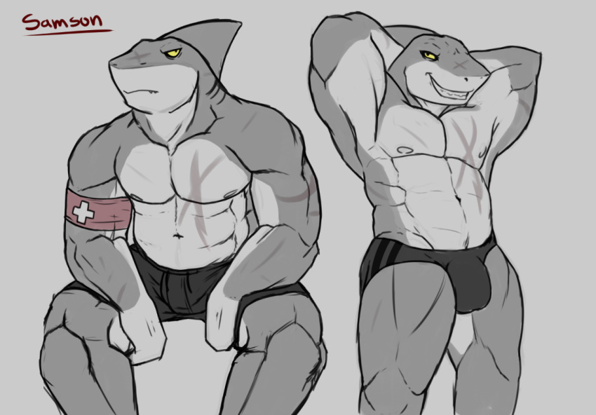 anthro bulge clothed clothing donkles fish hands_behind_head looking_at_viewer male marine muscular muscular_male scar shark smile solo speedo swimsuit topless