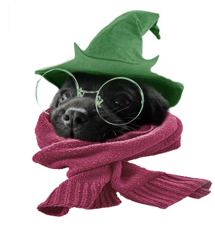 black_fur black_nose canine clothing darckart deltarune dog edit eyewear fur glasses hat mammal ralsei real scarf shopped simple_background white_background