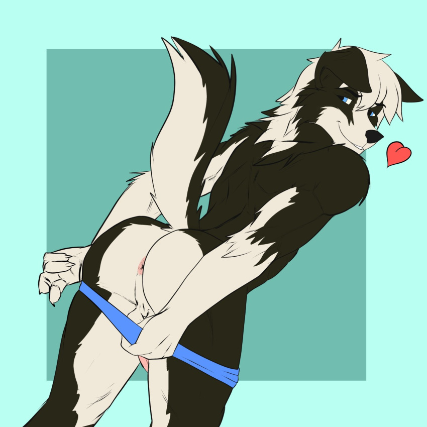 &lt;3 2018 anthro anus blue_eyes butt canine clothing dog donkles leaning leaning_forward looking_back male mammal penis presenting presenting_anus presenting_hindquarters raised_tail rear_view simple_background smile solo underwear underwear_down