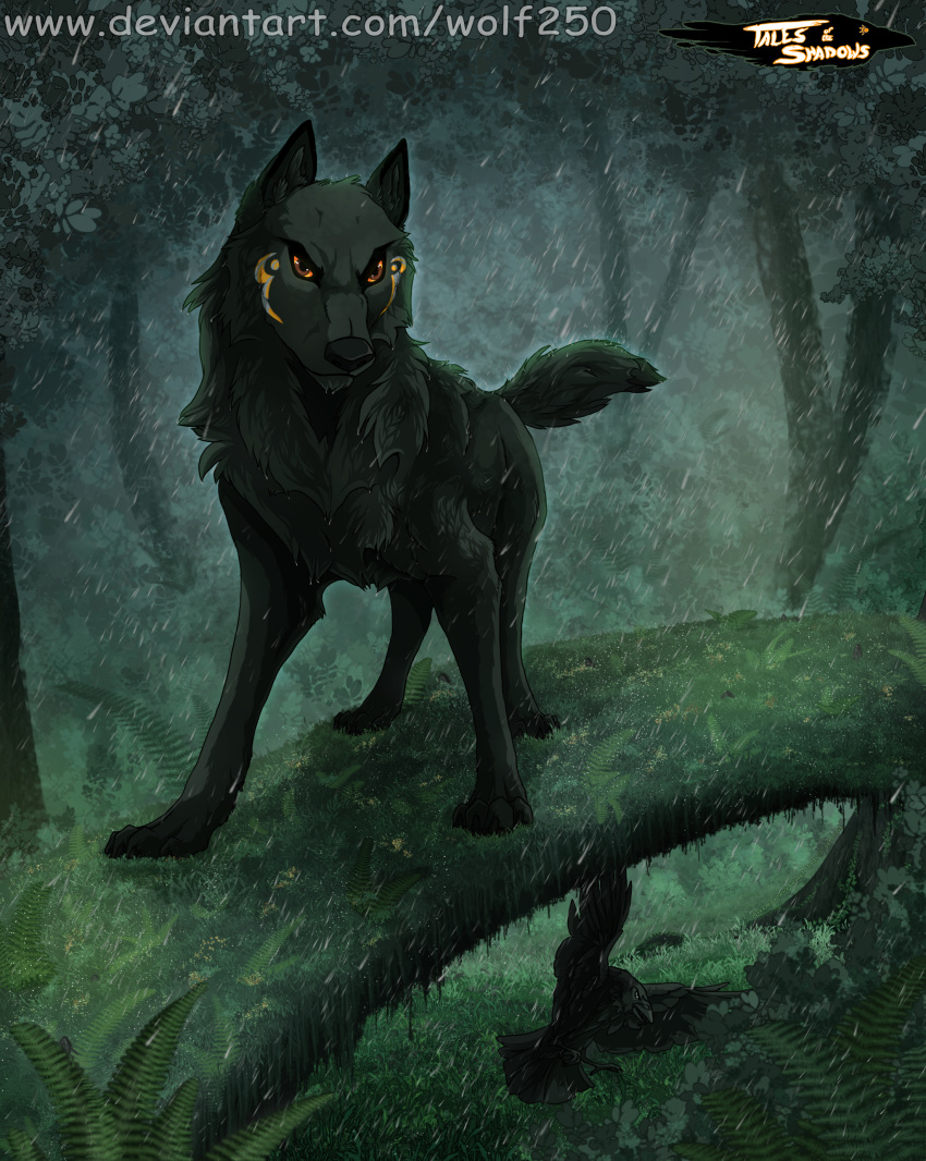 2018 avian bird black_fur black_nose bridge brown_eyes canine corvid crow detailed_background digital_media_(artwork) duo feral ferns flying fur mammal orange_sclera quadruped raining solo_focus standing wolf wolf250