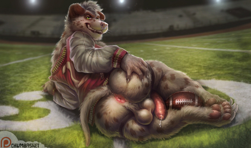 5_toes american_football anthro anus ball balls biped brown_fur butt canine chumbasket clothed clothing dalmatian detailed_background dog facial_piercing football_(ball) fur grass hi_res humanoid_penis jockstrap leaking looking_at_viewer lying male mammal muscular muscular_male nose_piercing partially_clothed pawpads paws penis perineum piercing pink_pawpads pink_penis precum presenting presenting_hindquarters public smile solo sport spots teeth toes underwear white_fur