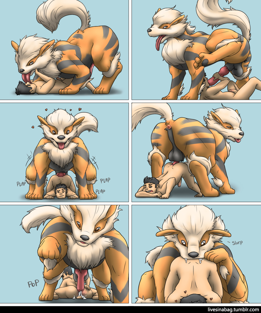 all_fours anal anal_penetration animal_genitalia animal_penis arcanine ball_fondling balls bestiality butt canine_penis comic cum deep_penetration doggystyle felching feral fondling from_behind_position human interspecies knot knotting larger_feral larger_male livesinabag male male/male mammal nintendo oral penetration penis pok&eacute;mon pok&eacute;mon_(species) pok&eacute;philia rimming sex size_difference size_queen smaller_human smaller_male tongue tongue_out video_games