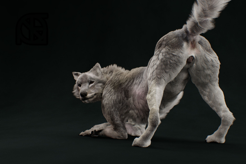 3d_(artwork) animal_genitalia animal_pussy anthro anus ass_up bent_over black_nose butt canine canine_pussy cosmiclife digital_media_(artwork) female feral fur helga hi_res looking_at_viewer looking_back mammal pinup pose presenting presenting_anus presenting_hindquarters presenting_pussy pussy realistic semi-anthro solo spread_legs spreading whiskers wolf