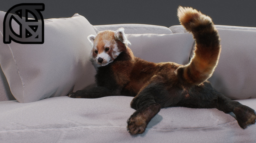 3d_(artwork) anatomically_correct anatomically_correct_pussy animal_genitalia anthro anus baijanthi black_fur black_nose butt cosmiclife digital_media_(artwork) feet female feral fur looking_at_viewer mammal multicolored_fur paws pinup pose pussy raised_tail realistic red_fur red_panda semi-anthro sofa solo spread_legs spreading white_fur