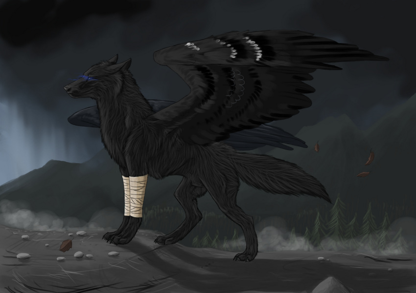 2009 ambiguous_gender black_feathers black_fur black_nose canine day detailed_background digital_media_(artwork) feathered_wings feathers fur hybrid mammal oneminutesketch outside paws standing wings wolf