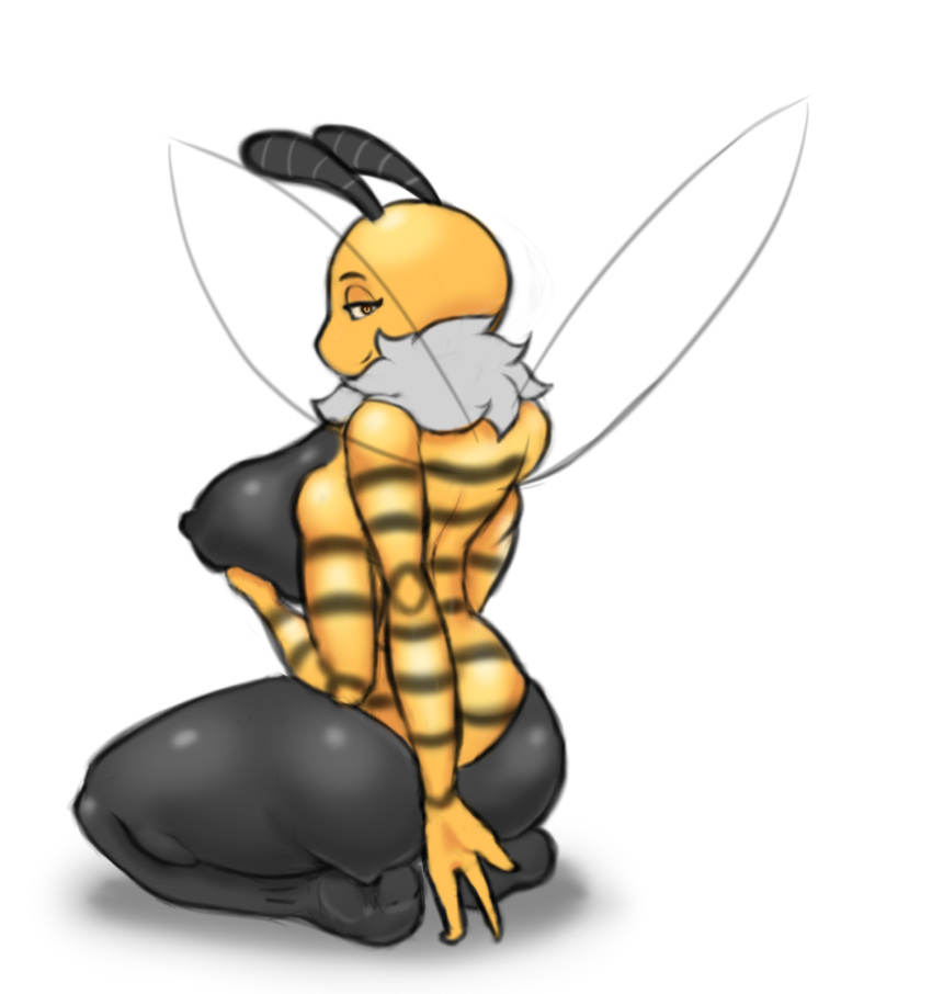 2018 arthropod bee blackbetty female insect seductive sitting solo