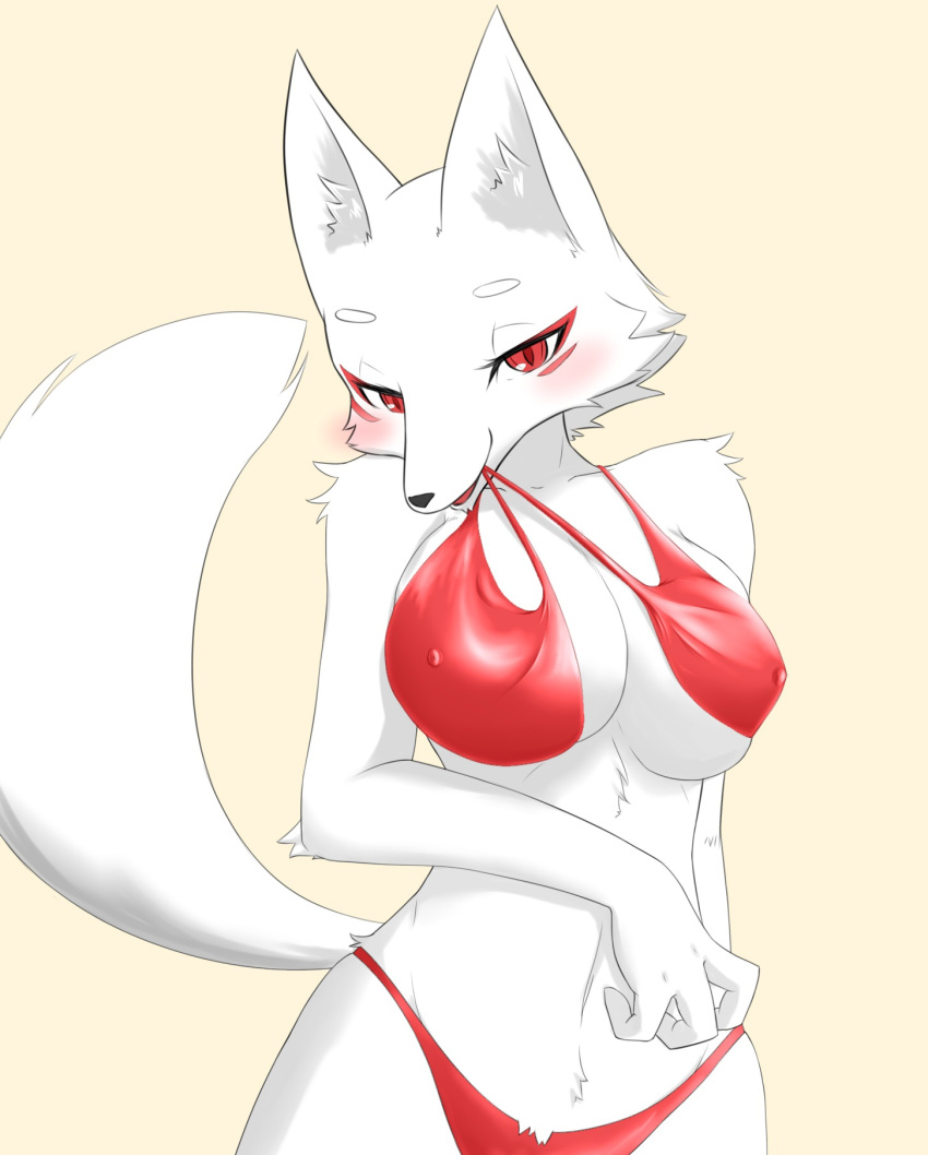 1girl animal_ears bare_shoulders beige_background bikini blush breasts character_request cleavage collarbone erect_nipples female fox_ears fox_tail furry half-closed_eyes highres large_breasts looking_at_viewer mouth_hold navel no_humans open_mouth red_bikini red_eyes simple_background skindentation solo standing swimsuit tail xan_(xan0712)