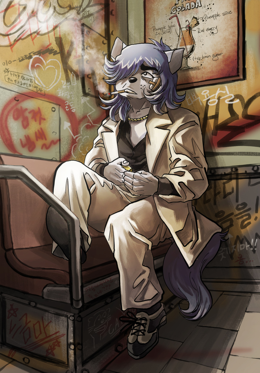 &lt;3 2017 absurd_res anthro bandage blue_fur blue_hair canine chair cigarette cigarette_in_mouth clothed clothing detailed_background digital_media_(artwork) digital_painting_(artwork) english_text fluffy fluffy_tail food footwear freckles fruit full-length_portrait fur graffiti grey_fur hair hair_over_eye hi_res hwi-jeong_(ryonggay) inside jewelry kemono korean korean_text lighter lighting looking_up male mammal multicolored_fur necklace object_in_mouth open_clothing pina_colada pineapple portrait poster raised_leg ryonggay shoes short_hair sitting smoking solo subway suit text two_tone_fur undershirt wolf