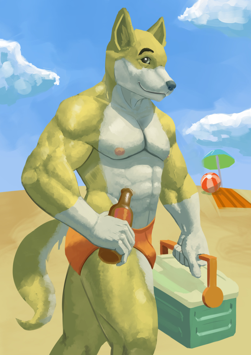 absurd_res anthro beach biped bulge canine clothed clothing digital_media_(artwork) dog hi_res male mammal muscular muscular_male nipples seaside solo speedo standing swimsuit underwear