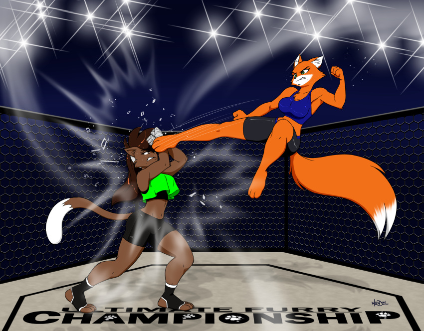 2018 3_toes 4_fingers 4_toes action_pose anthro arm_wraps attack black_nose block blocking bra breasts brown_eyes brown_fur brown_hair cage canine cat chest_tuft cleavage clenched_teeth clothed clothing deborah_bispo duo eye_contact eyebrows eyelashes feline female fight fighting_ring fist footwear fox foxy_roxy fur green_eyes hair hand_wraps inner_ear_fluff inside interspecies jumping kick lights long_hair looking_down looking_up mammal midair midriff mixed_martial_arts mma motion_lines navel orange_fur orange_tail pink_nose pose shorts signature sweat teeth toes tuft two_tone_tail underwear wendel_fragoso white_tail wraps