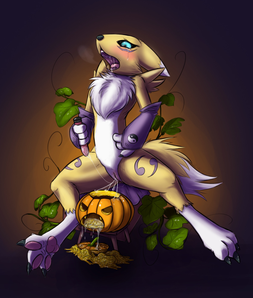 anthro barefoot blue_eyes blush canine claws clothing crying digimon dildo female food fruit fur furromantic gloves halloween hi_res holidays humanoid_pussy looking_down mammal nude open_mouth pawpads paws pumpkin pussy pussy_juice renamon saliva sex_toy sharp_claws sharp_teeth sitting slowderpyguy solo spread_legs spreading tags_(disambiguation) tears teeth toe_claws tongue