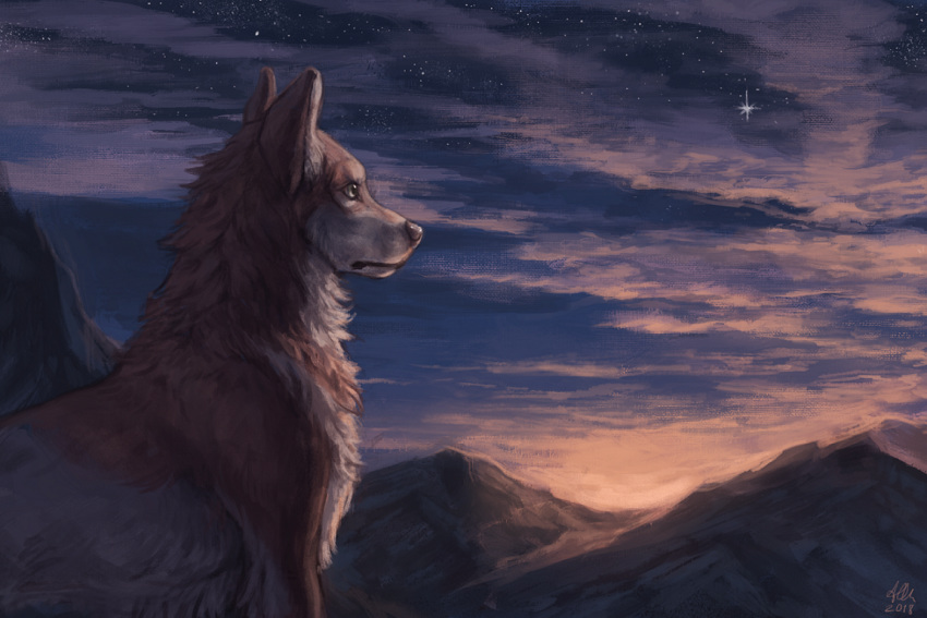 2018 aurru black_nose brown_fur canine digital_media_(artwork) feral fur mammal outside sky solo star starry_sky twilight