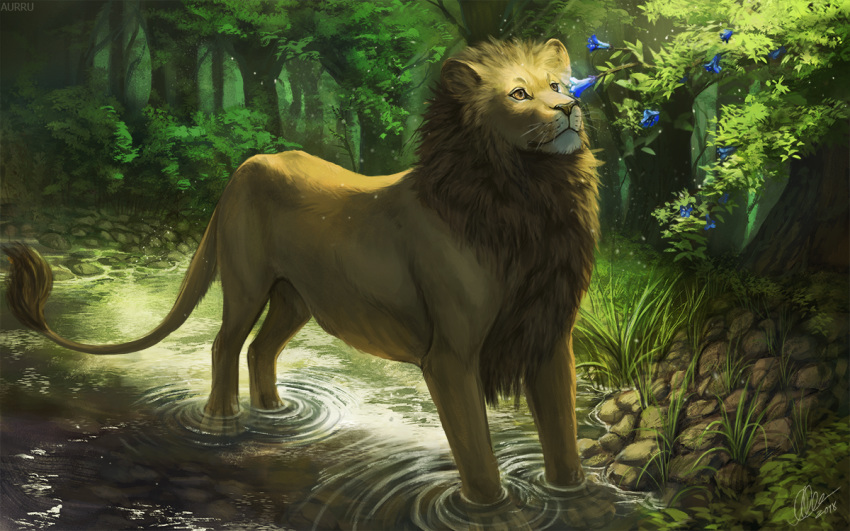 2018 aurru day feline feral flower forest fur grass leaves lion male mammal mane outside partially_submerged plant solo tail_tuft tan_fur tree tuft water whiskers