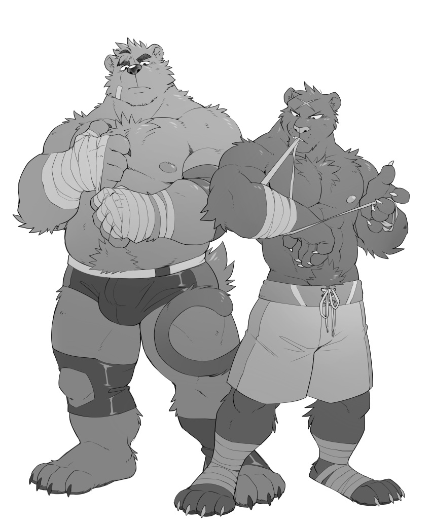 2018 abs anthro bandage bear biceps big_muscles black_panther chest_tuft claws clothed clothing curled_tail digital_media_(artwork) duo feline full-length_portrait fur greyscale looking_at_viewer male mammal monochrome musclegut muscular muscular_male nipples panther pecs plantigrade portrait pubes ray_(takemoto_arashi) shorts simple_background skimpy slightly_chubby standing takemoto_arashi topless tuft underwear white_background