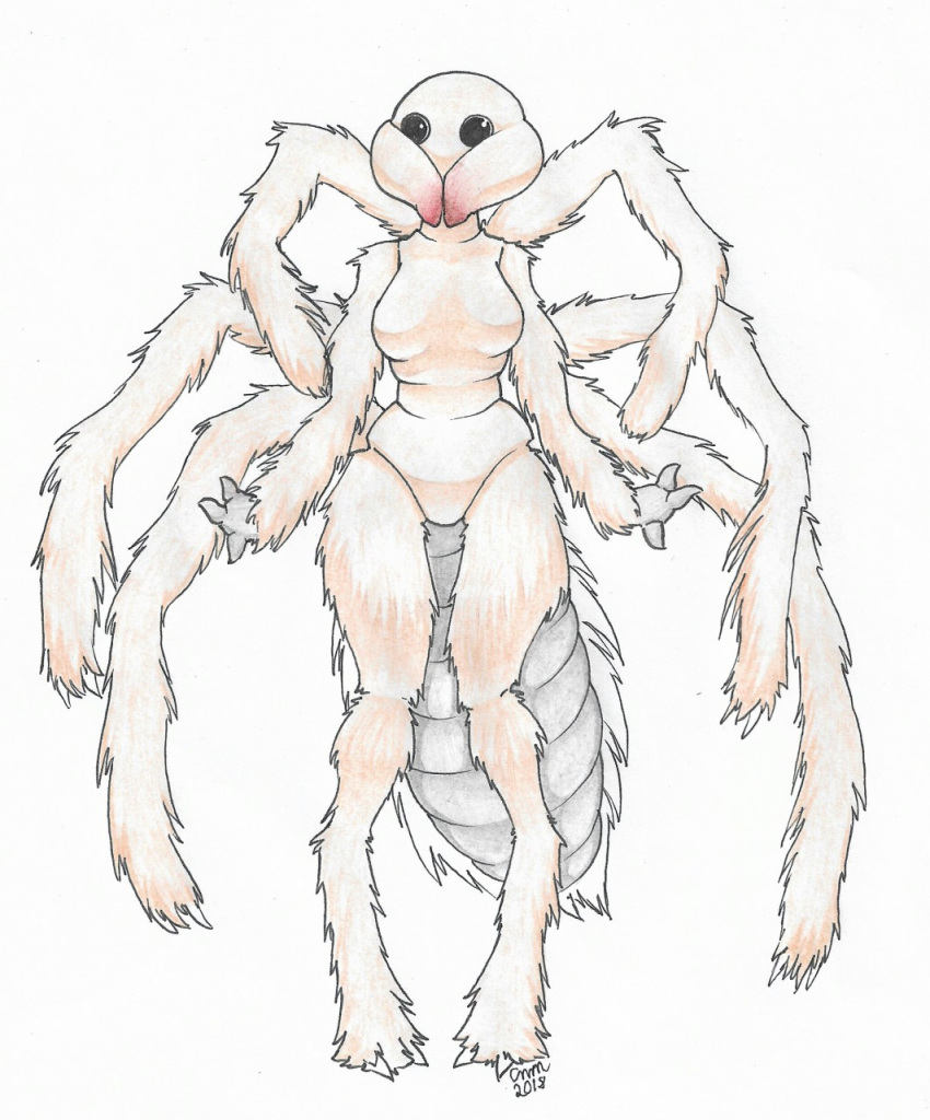 2018 2_toes 3_fingers abdomen anthro arachnid arthropod beady_eyes biped black_eyes breasts brown_exoskeleton brown_fur camel_spider chelicerae claws exoskeleton featureless_breasts featureless_crotch female foxydraws front_view full-length_portrait fur graphite_(artwork) hi_res knock_kneed medium_breasts mixed_media multicolored_fur non-mammal_breasts nude pen_(artwork) pencil_(artwork) portrait simple_background solo standing toe_claws toes traditional_media_(artwork) two_tone_fur white_background white_fur