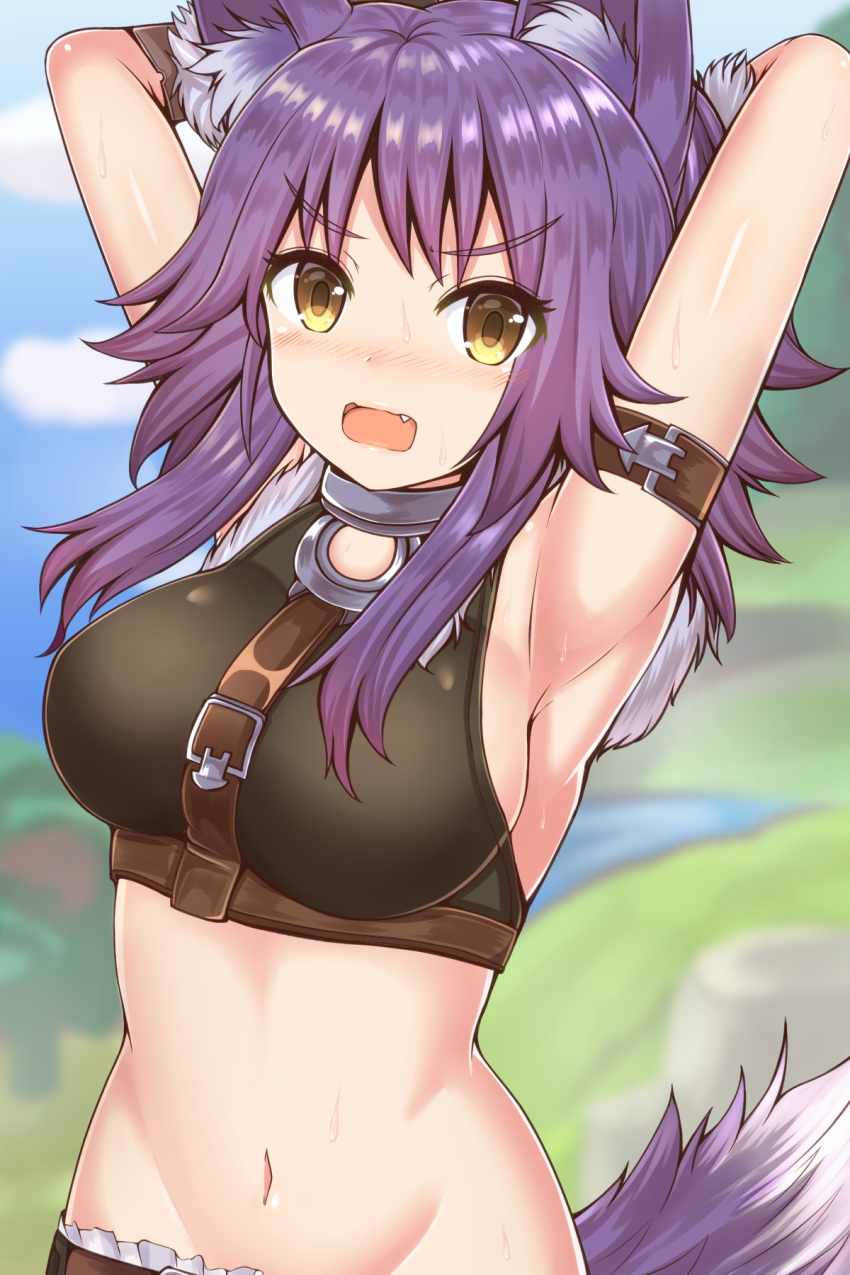 1girl aki_makoto animal_ear_fluff animal_ears armpits arms_behind_head bare_arms bare_shoulders blurry blurry_background blush breasts cloud commentary_request crop_top day depth_of_field eyebrows_visible_through_hair fang frown groin highres large_breasts looking_at_viewer masa_masa medium_hair midriff navel open_mouth outdoors princess_connect! princess_connect!_re:dive purple_hair sleeveless solo stomach sweat tail upper_body v-shaped_eyebrows wolf_ears wolf_tail yellow_eyes