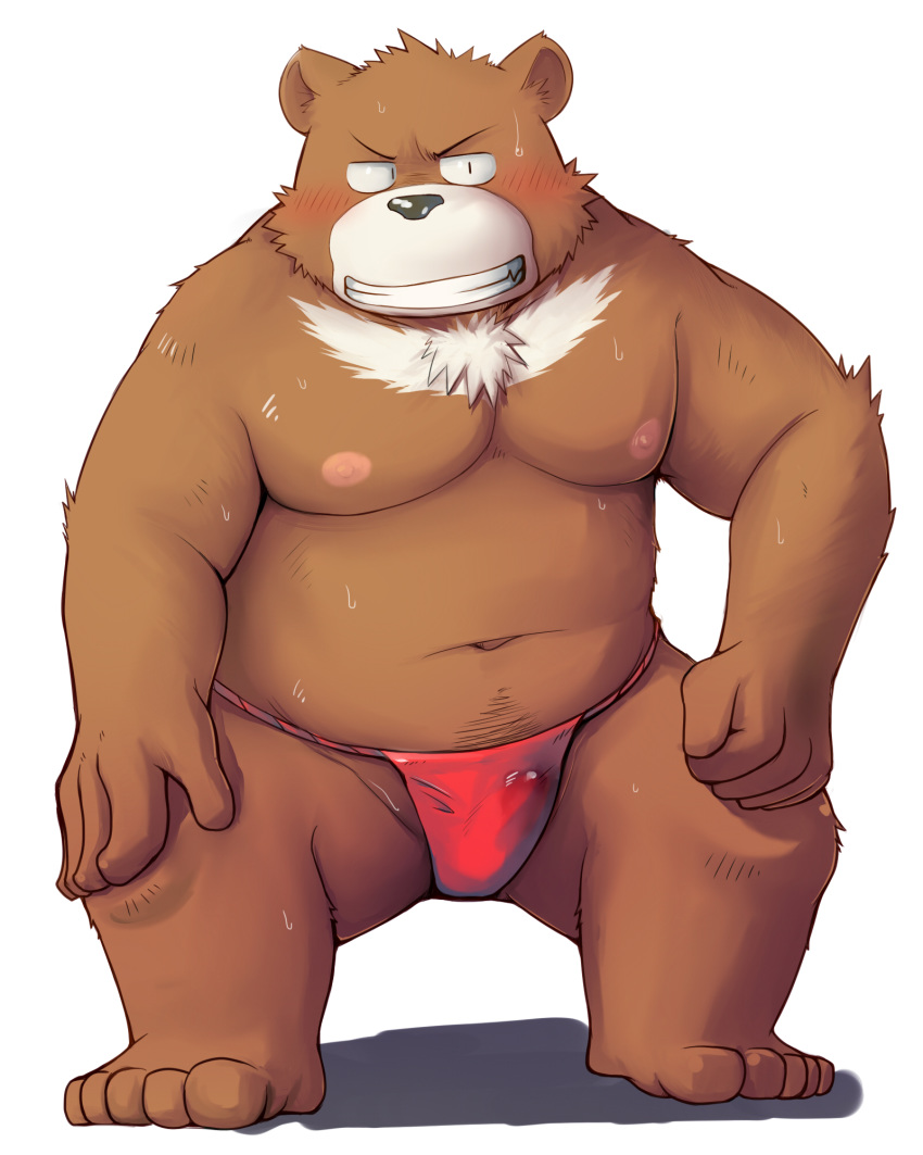 2012 anthro belly blush brown_fur bulge clothing cum erection fundoshi fur hi_res humanoid_hands japanese_clothing male mammal moobs navel nipples overweight overweight_male shiike999 simple_background solo sweat teeth underwear ursid white_background