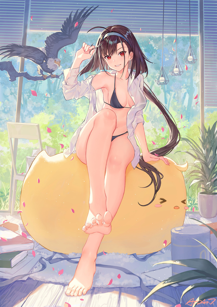 &gt;_&lt; 1girl ahoge animal arm_support arm_up atdan azur_lane bad_perspective bangs barefoot bikini bird black_bikini blue_hairband blush book breasts brown_hair chair chick cleavage collarbone commentary day dress_shirt eagle earrings english_commentary eyebrows_visible_through_hair eyes_closed feet full_body grin hair_ornament hairband highres independence_(azur_lane) indoors jewelry large_breasts legs long_hair long_sleeves looking_at_viewer low_ponytail medium_breasts navel o-ring o-ring_bikini o-ring_top open_clothes open_shirt parted_lips petals ponytail red_eyes shirt signature sitting sitting_on_animal slit_pupils smile solo swimsuit toenails toes tree_branch very_long_hair white_shirt wooden_floor