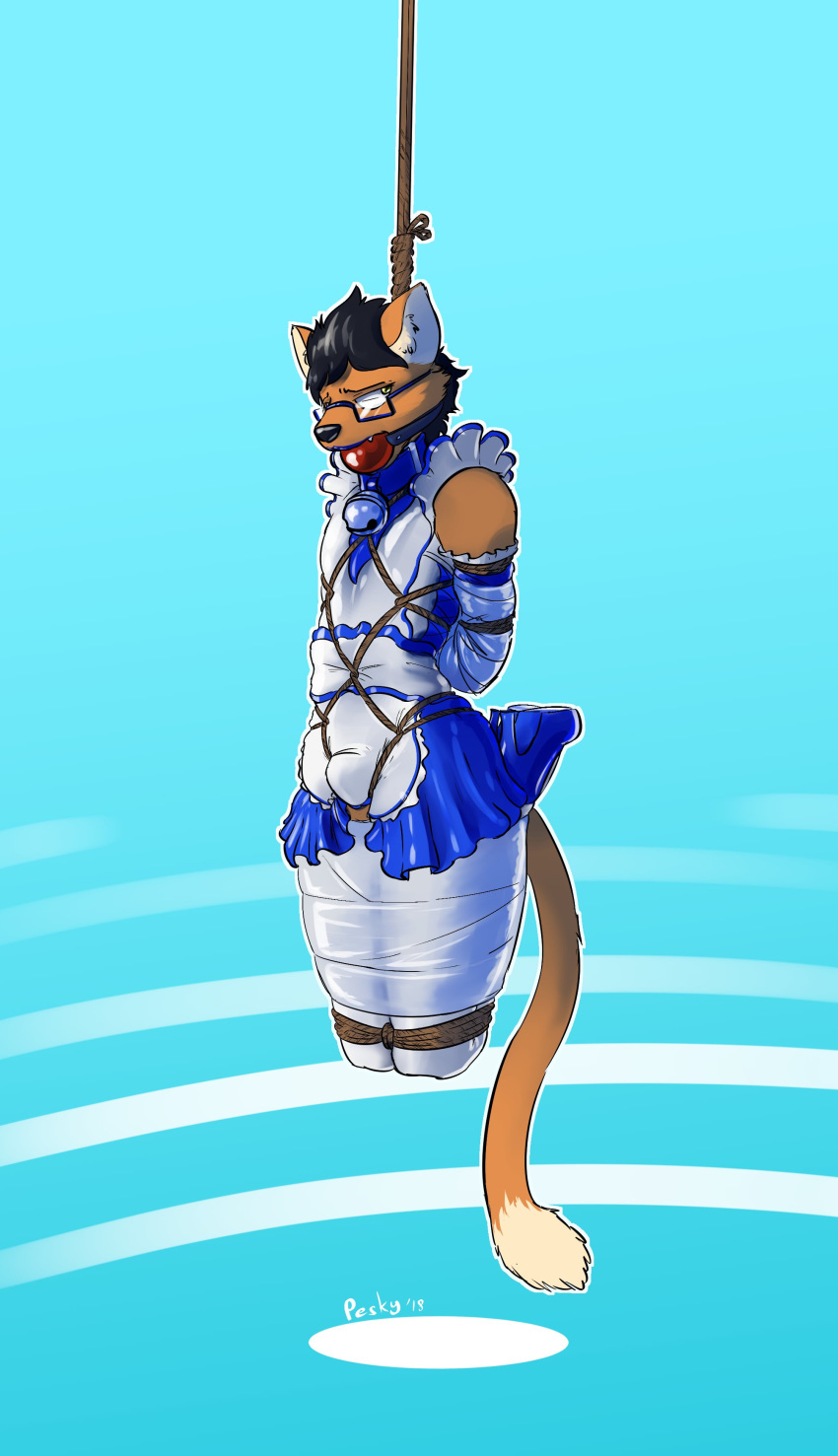 2018 absurd_res anthro ball_gag bdsm bell bell_collar black_nose blue_background blue_collar blue_lipstick bondage bound bulge clothed clothing collar crossdressing digital_drawing_(artwork) digital_media_(artwork) dipstick_tail domestic_cat eyewear felid feline felis footwear fur gag gagged girly glasses hair hi_res high_heels leochingu lipstick long_tail maid_uniform makeup male mammal multicolored_fur multicolored_tail orange_fur peskybatfish rope rope_bondage rope_harness rope_suspension rubber shiny shoes simple_background solo suspension teeth two_tone_fur uniform white_fur