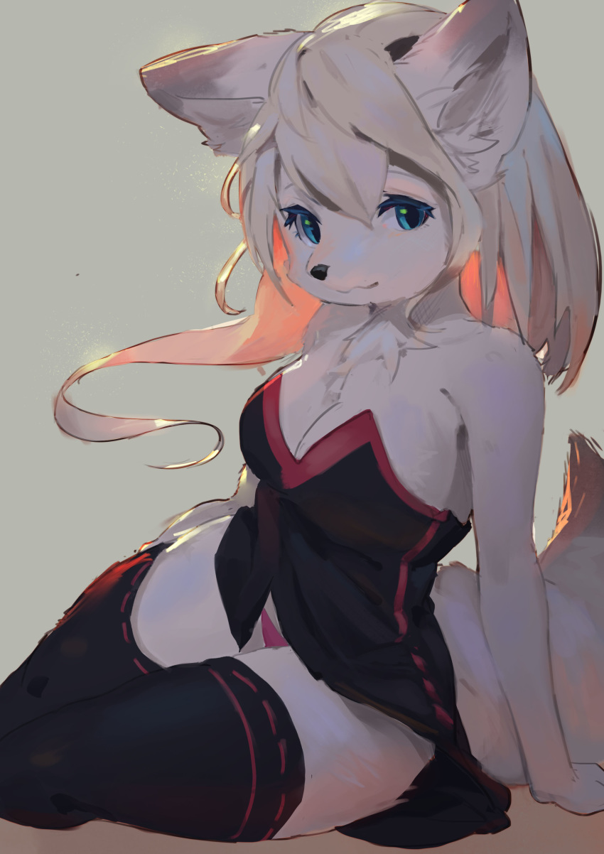 absurd_res anthro big_breasts black_clothing black_dress blue_eyes breasts canid canine cleavage clothed clothing female fur hair hi_res kemono legwear long_hair looking_at_viewer mammal shian simple_background sitting thigh_highs white_fur white_hair