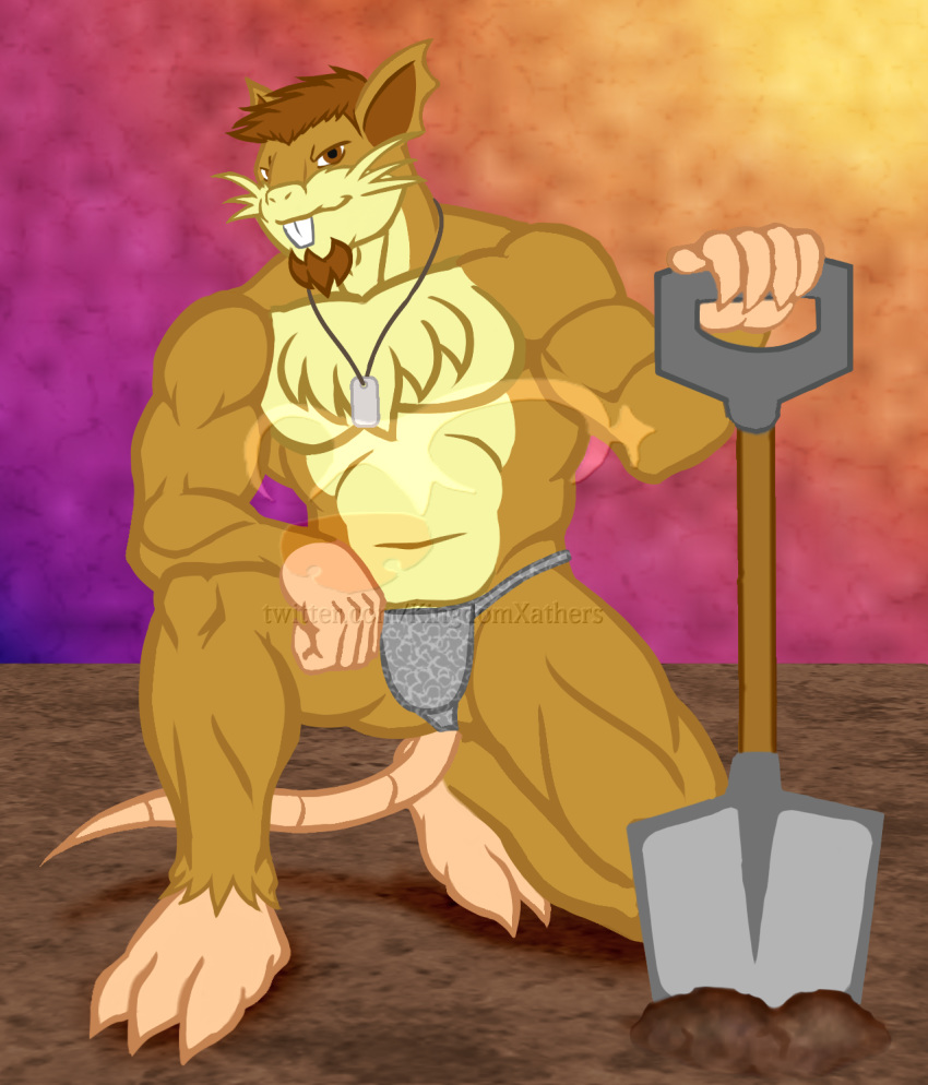 2019 anthro barefoot biceps body_hair brown_eyes brown_hair bulge chest_hair clothed clothing digital_media_(artwork) dog_tags facial_hair fundoshi fur goatee hair hi_res holding_item japanese_clothing kingdomheartskeeper kingdomxathers kneeling looking_at_viewer male mammal mostly_nude muscular muscular_male nintendo outside pecs pok&eacute;mon pok&eacute;mon_(species) pok&eacute;morph raticate rodent shovel simple_background smile solo teeth topless twitch_plays_pok&eacute;mon underwear video_games whiskers