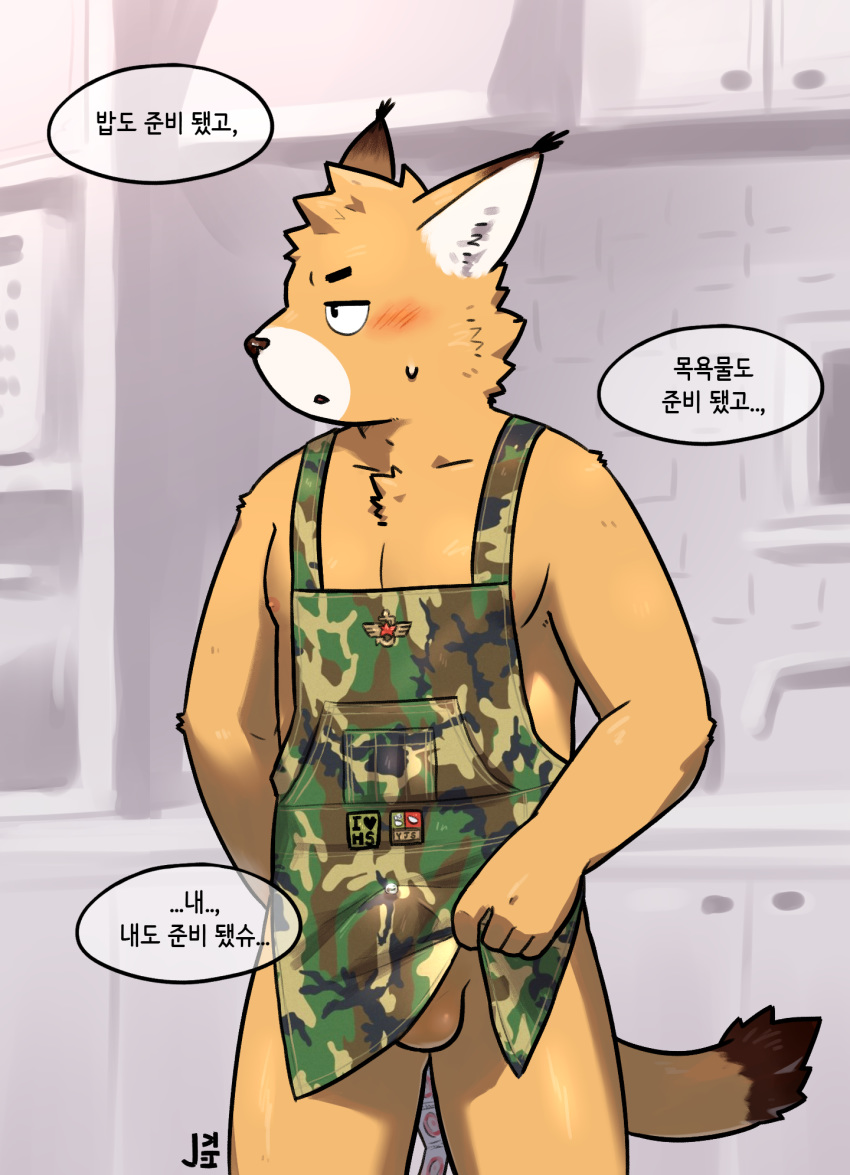 anthro apron balls blush brown_fur bulge clothing erection felid feline fur hi_res jeck korean_text lynx male mammal nipples nude precum solo standing text white_fur