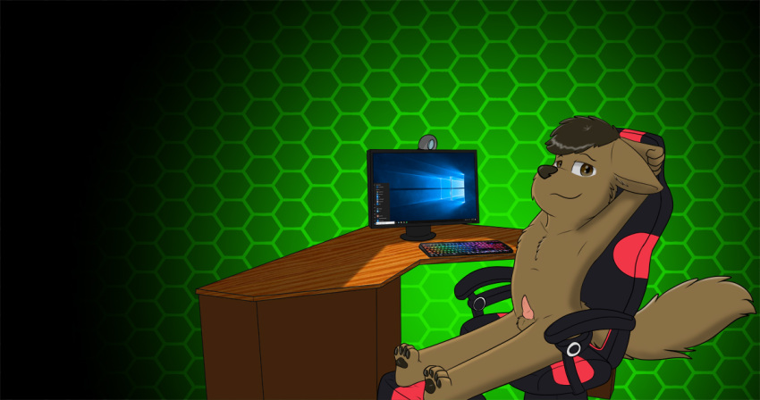 anthro balls canid canine cub desktop erection fur gaming looking_at_viewer male mammal nude penis playing_videogame sitting skunket small_penis solo sven young