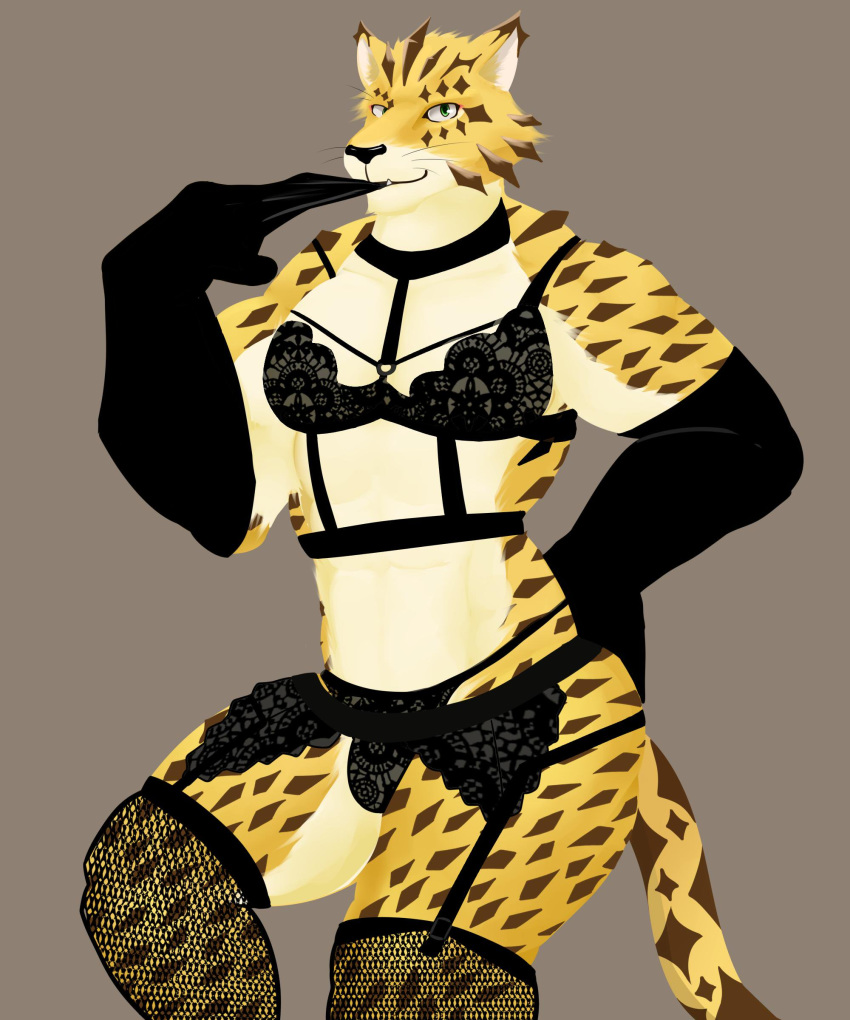 bulge clothed clothing crossdressing edogast felid gloves leopard lingerie male mammal muscular muscular_male ose_(tas) pantherine tokyo_afterschool_summoners video_games