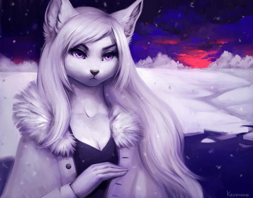 anthro breasts canid canine clothed clothing eyelashes female hair keumano mammal outside snow solo