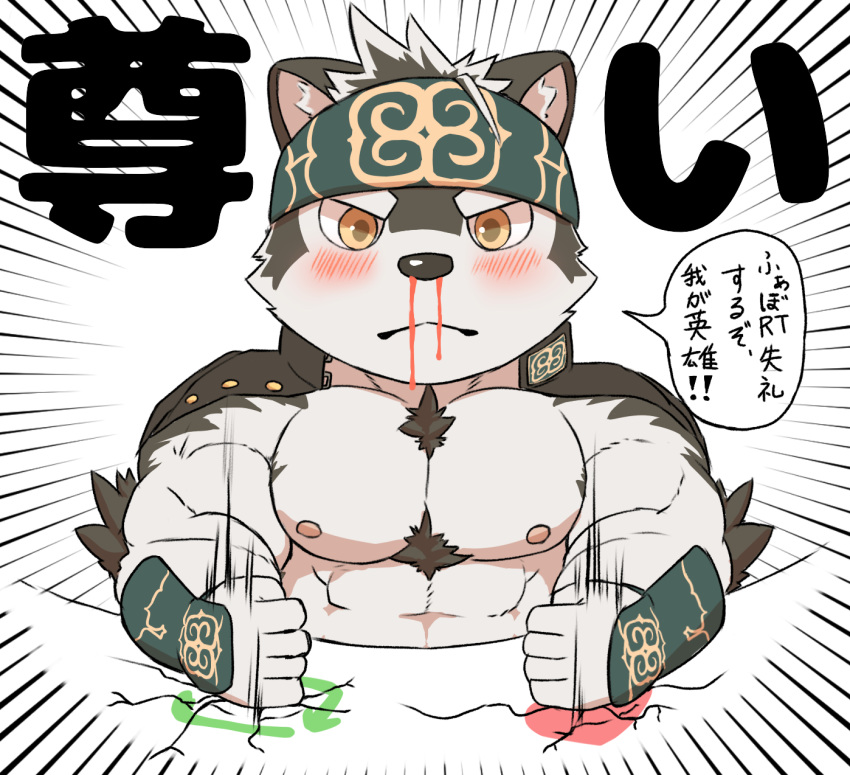 anthro blood canid canine canis chibi fur headband hi_res horkeukamui kemono looking_at_viewer male mammal multicolored_fur muscular muscular_male nipples nosebleed simple_background solo tokyo_afterschool_summoners twitter video_games white_fur wolf yoshizaurusu_n