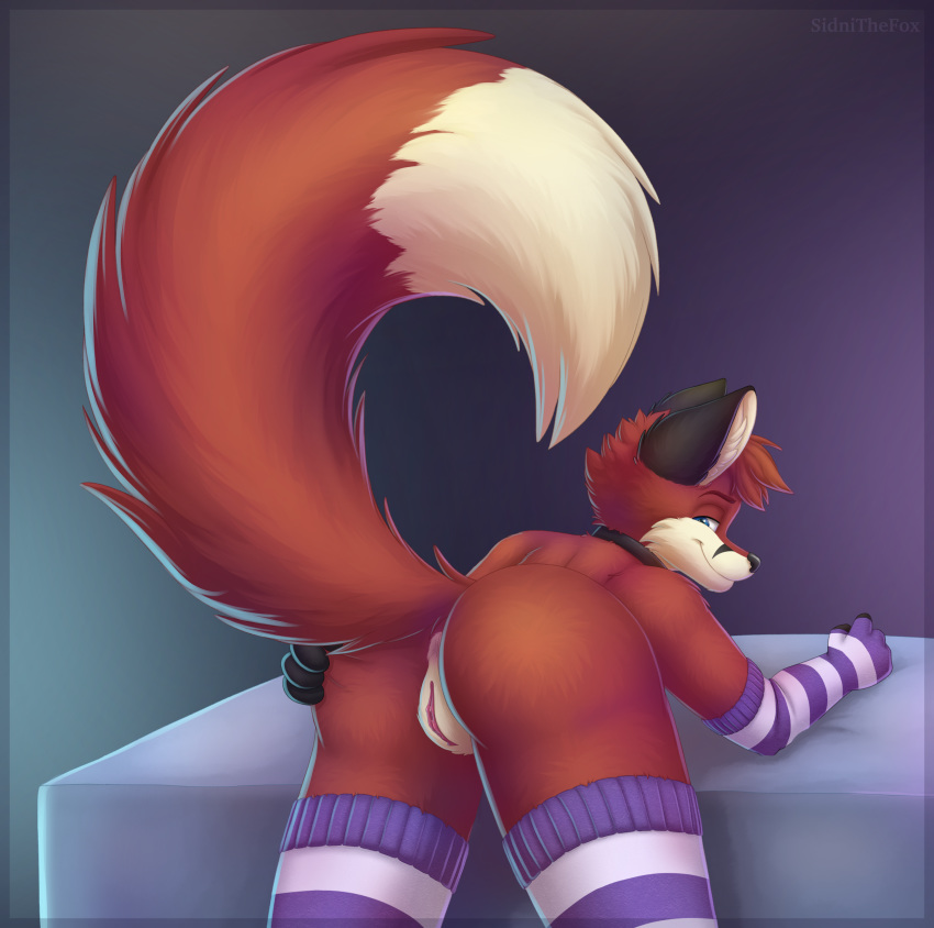2019 absurd_res anthro anus armwear bed bent_over butt canid canine clothed clothing collar countershading crossdressing cuntboy digital_media_(artwork) fox fur girly hair hi_res intersex legwear looking_at_viewer looking_back male mammal nude on_bed presenting presenting_anus presenting_hindquarters presenting_pussy pussy sidnithefox simple_background smaller_version_at_source smile solo spreading thigh_highs xemkiy_(character)