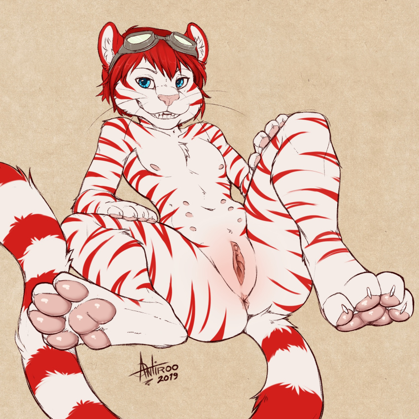 1:1 2019 4_toes antiroo cuntboy digital_media_(artwork) felid feline hair hi_res intersex male mammal multi_nipple nipples pantherine paws pussy red_hair stripes tiger toes